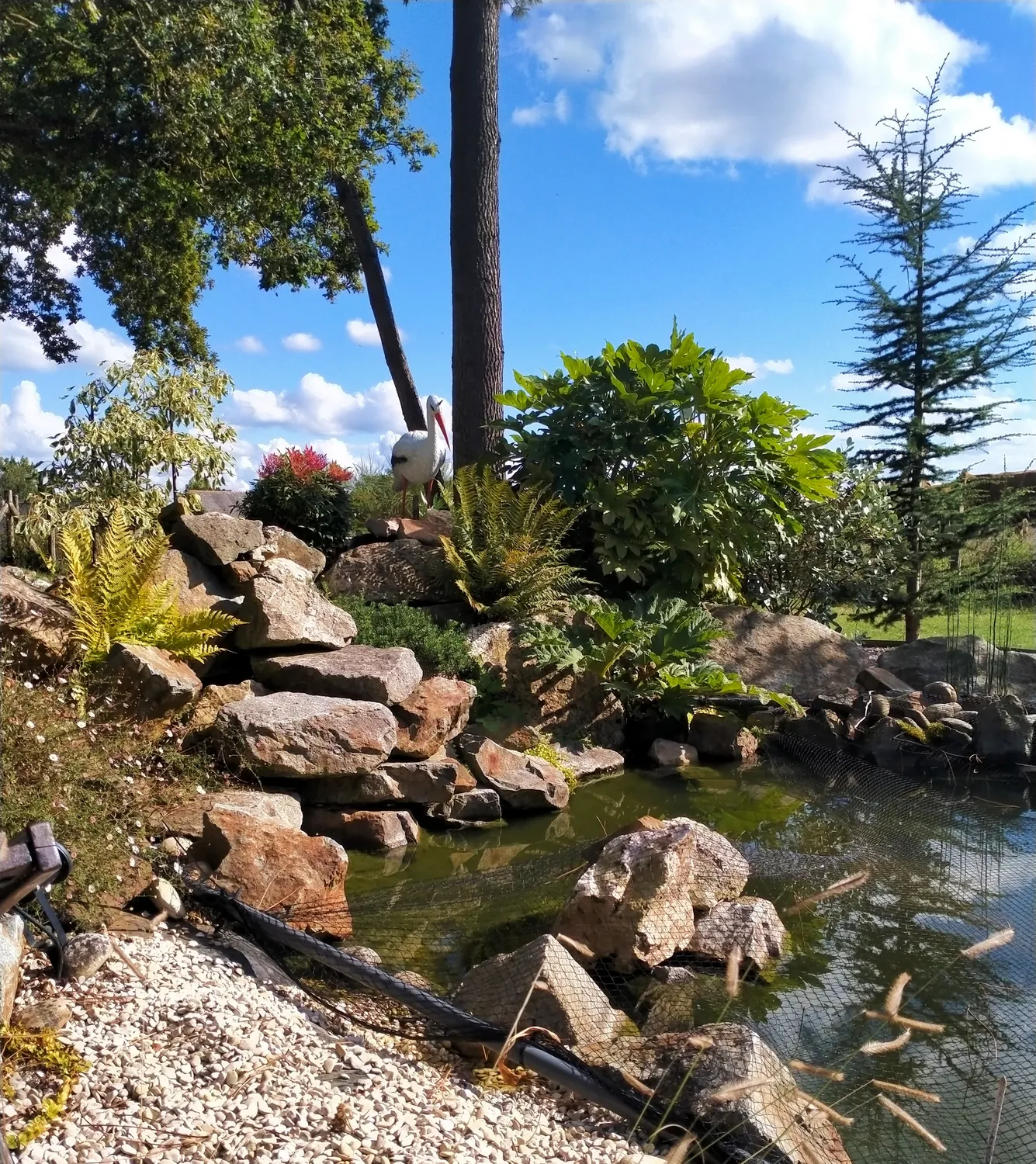 amenagement de jardin cesson sevigne