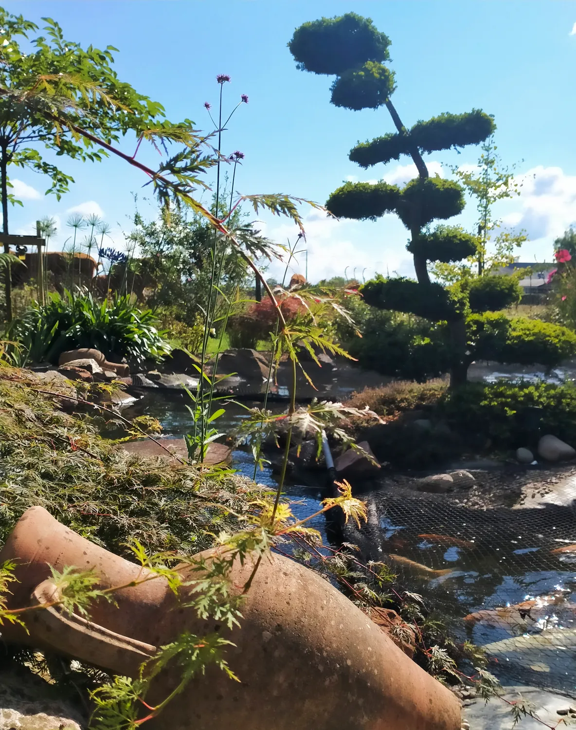 amenagement de jardin chantepie