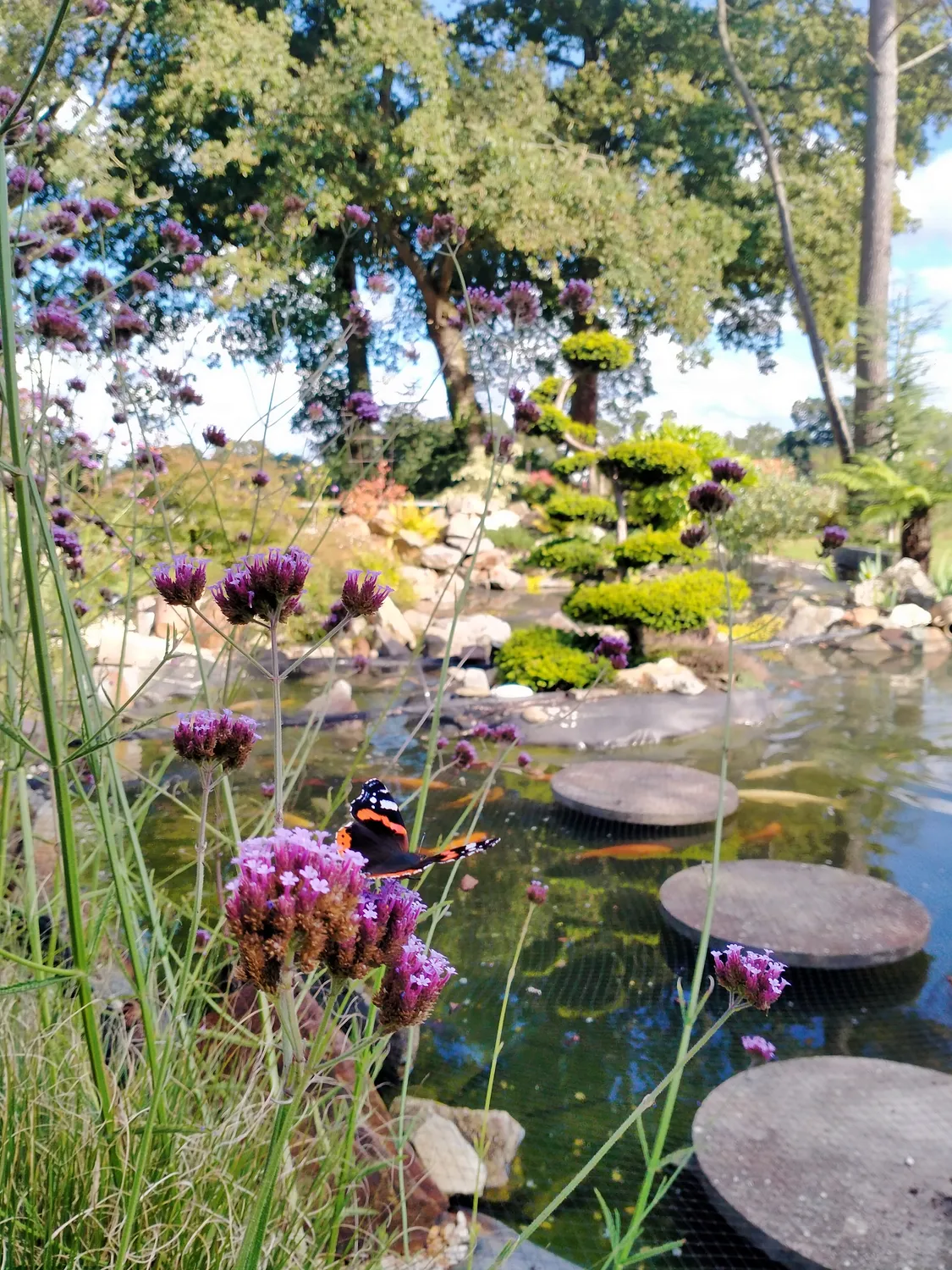 amenagement de jardin domloup