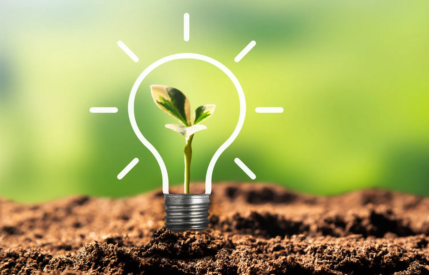 amenagement de jardin thorigne fouillard