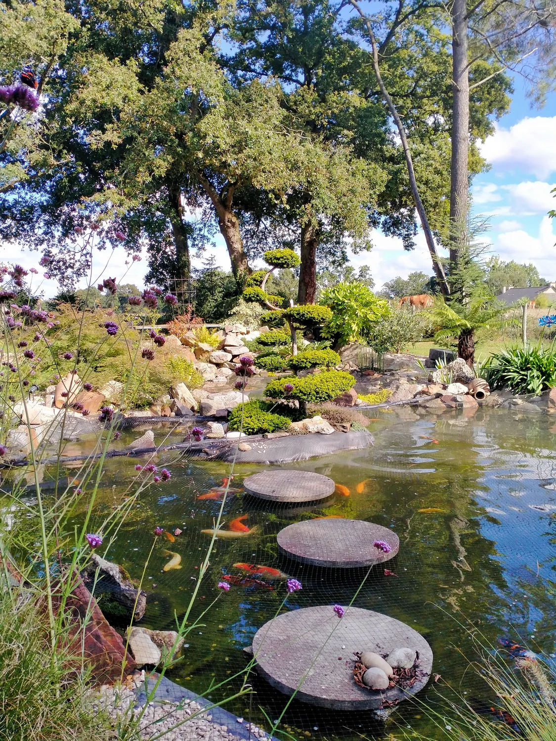 entretien de jardin chateaugiron