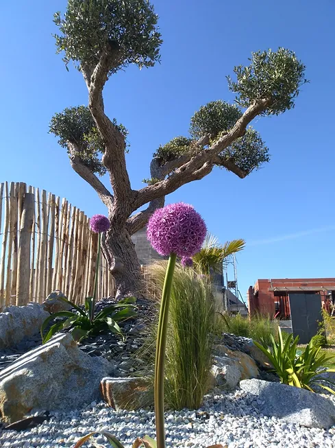 entretien de jardin domloup