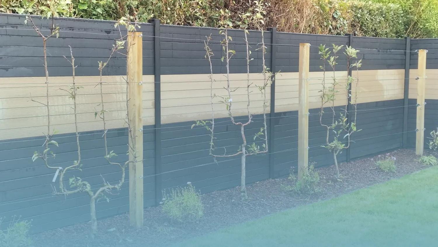entretien de jardin thorigne fouillard