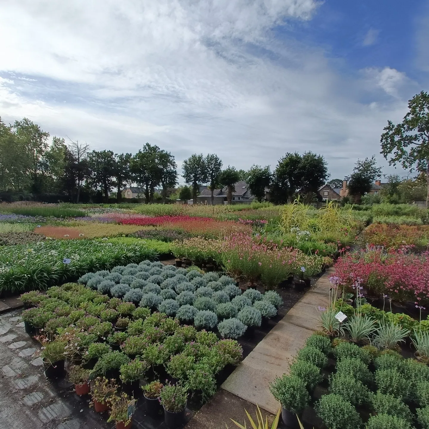 jardinier betton