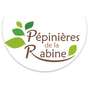 pose de cloture cesson sevigne