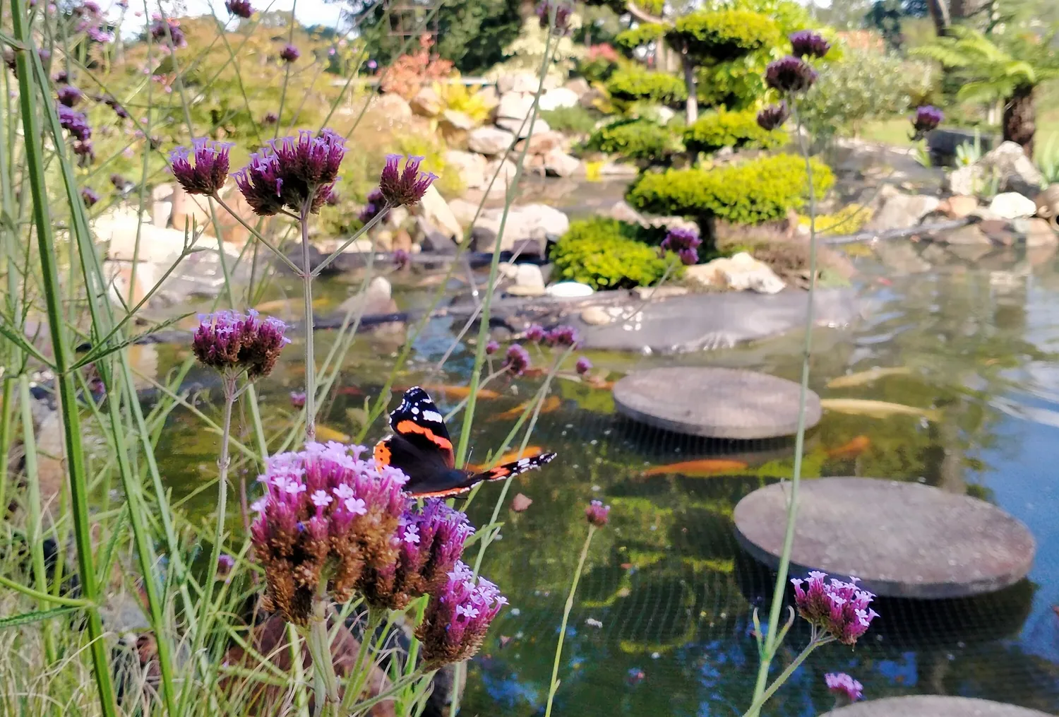 pose de cloture noyal sur vilaine